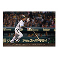 写真（5/17～5/18）vs H