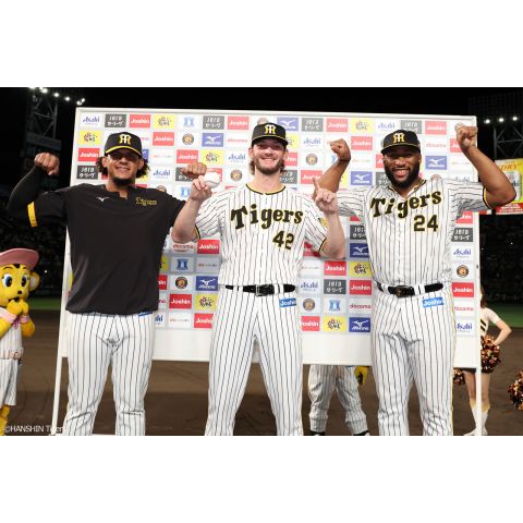 値下げ中】阪神タイガース tigers プロコレウィンドブレーカーマルテ