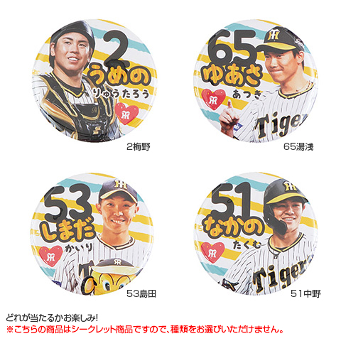 シークレット選手丸型缶バッジ（全14種） - 阪神タイガース公式