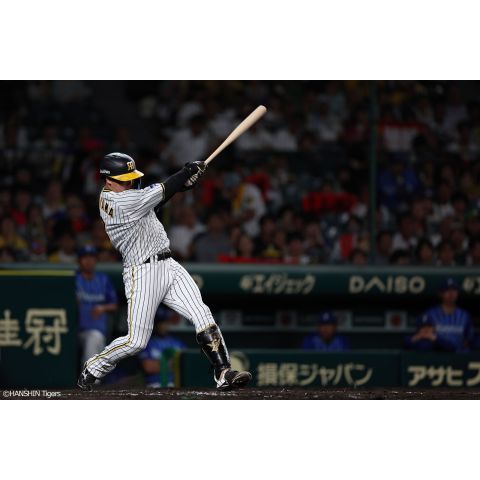 写真（8/29）vs DB No.2 - 阪神タイガース公式オンラインショップ T-SHOP