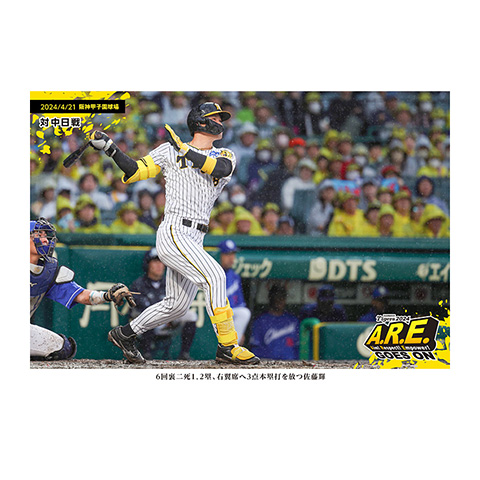 阪神タイガース　DVDプレイヤー 阪神タイガース DVDプレイヤー