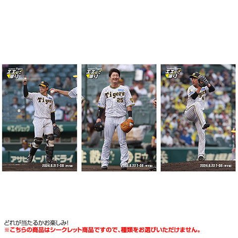 阪神タイガース シークレット選手 ホログラムキーホルダー 岡田 監督