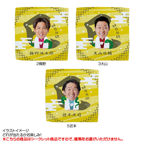 全13種）お正月 シークレットハンドタオル 2025 - 阪神