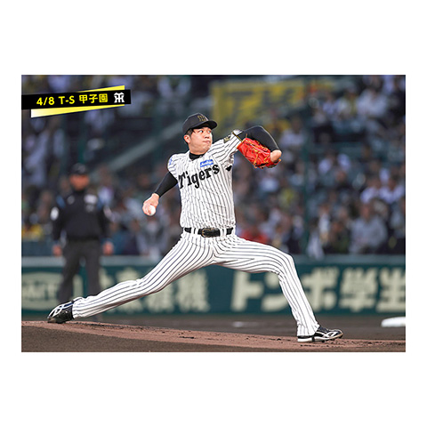 ブロマイド 4/8 T-S 35才木 - 阪神タイガース公式オンライン
