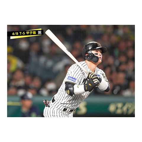 タイガース ユニフォーム 前川 58番 タイガース ユニフォーム 前川 58番 阪神タイガース 前川右京