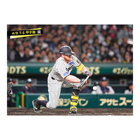 阪神タイガース　ユニフォーム　ビーズリー選手 背番号99 Oサイズ 楽天市場】阪神タイガース #99 ジェレミー・ビーズリー 缶バッジ