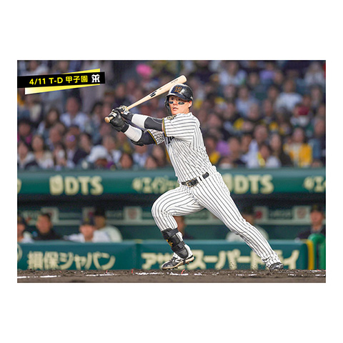 即日発送】阪神タイガース 前川 ユニフォーム チャンピ