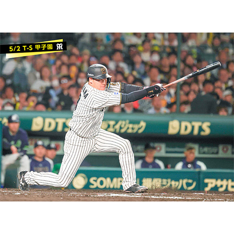 阪神タイガース 大山 レプリカユニフォームO 大山悠輔 阪神タイガース レプリカユニフォーム リーグ