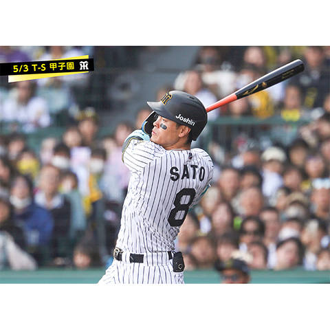 阪神タイガース SATO 8 ユニフォーム 2025 　佐藤輝明 L 阪神タイガース 2025ホームレプリカ 佐藤輝明選手 Lサイズ 佐藤輝明