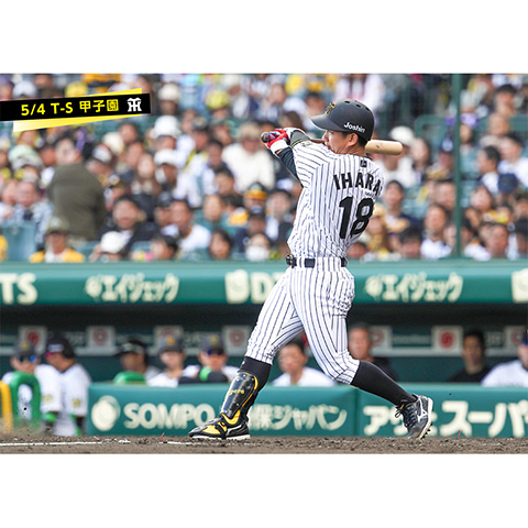 ブロマイド 5/4 T-S 18伊原 - 阪神タイガース公式オンラインショップ T