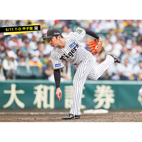 神戸タイガース ブロマイド 5/11 T-D 69石井 - 阪神タイガース公式オンライン
