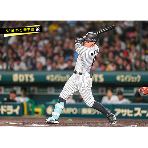 ブロマイド 5/16 T-C 8佐藤（輝明） - 阪神タイガース公式