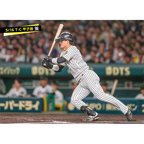 タイガース ユニフォーム 前川 58番 阪神タイガース #新ユニフォーム #前川右京 #背番号58 新