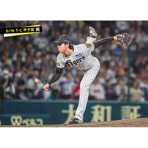 阪神タイガース　プロ支給品　上下 阪神タイガース プロ支給品 上下 阪神タイガース プロ支給品 上下