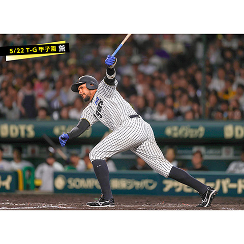 ブロマイド 5/22 T-G 95ヘルナンデス - 阪神タイガース公式オンライン
