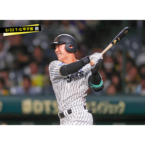 ブロマイド 5/22 T-G 61豊田 - 阪神タイガース公式オンライン