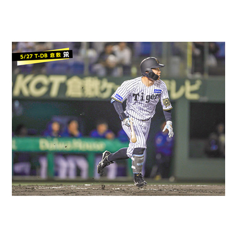 阪神タイガース #33 糸原健斗 缶バッジ（顔デザイン）の通販