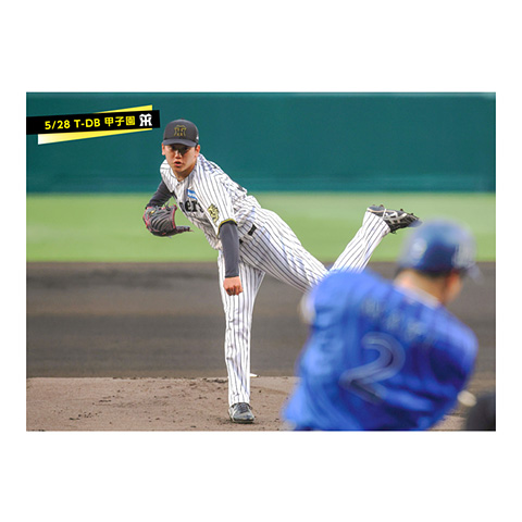 Amazon.co.jp: 阪神タイガース 2014年 ダイヤモンドプラス 2014