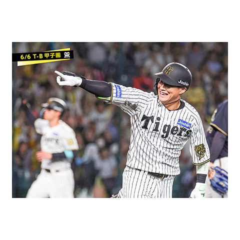 ブロマイド 6/6 T-B No.4 0木浪 - 阪神タイガース公式オンライン