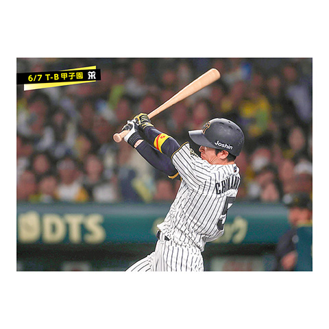 ブロマイド 6/7 T-B No.2 5近本 - 阪神タイガース公式オンライン