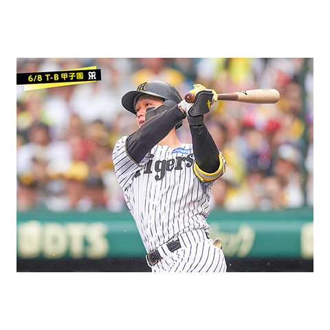 ブロマイド 6/8 T-B No.2 1森下 - 阪神タイガース公式オンライン