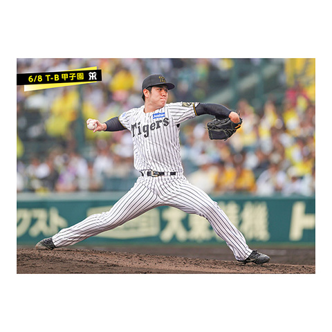 プロ野球カードゲーム DREAM ORDER スリーブ『阪神タイガース