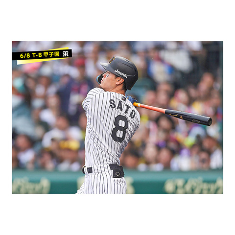 阪神タイガース ROYAL SUITE ユニフォーム 8佐藤輝明