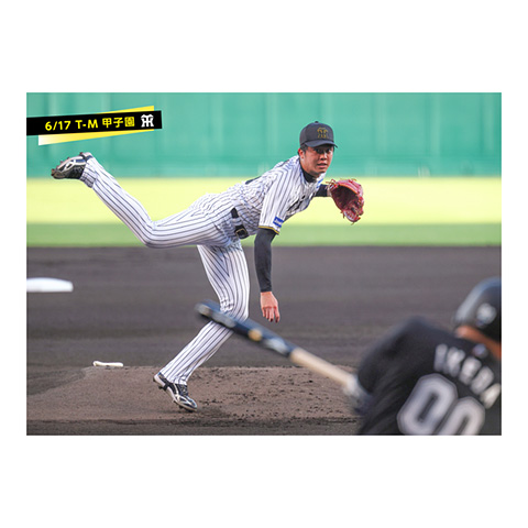 阪神タイガース 才木グッズ 阪神・才木 グッズ売り上げでもチームの顔に 220万円陶器