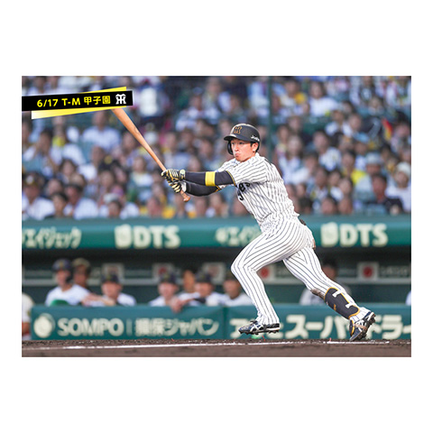 ★8/31まで限定価格★ FortPeat サイン入りブロマイド デジタル】ブロマイドデータ(16)サイン付き | 沢田商店