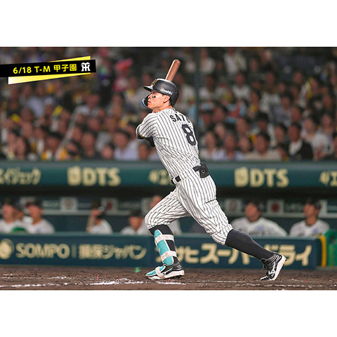 ブロマイド 6/18 T-M No.4 8佐藤（輝明） - 阪神タイガース公式