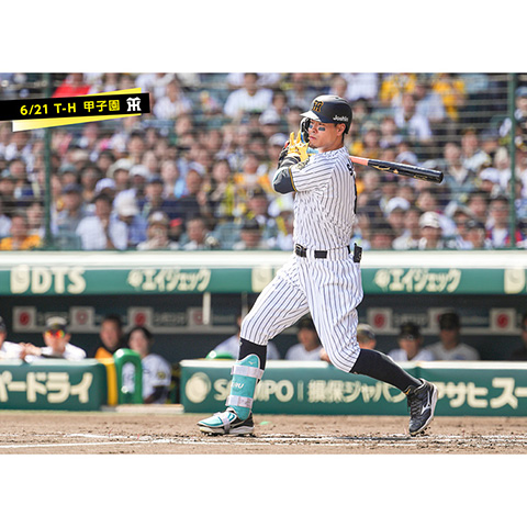 阪神】2カードぶり勝ち越し 佐藤輝明が球団日本人41年ぶり両
