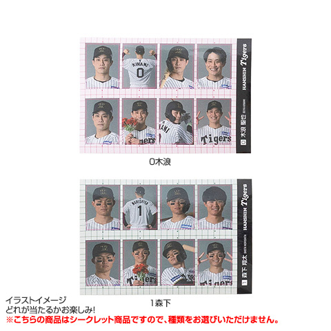 全12種）シークレット証明写真風ステッカー2025 - 阪神