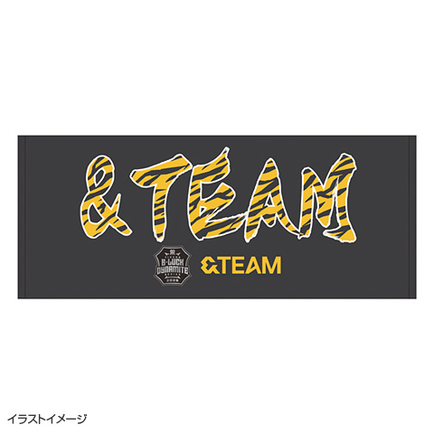 &TEAM 阪神タイガース　うちわとフェイスタオル　ブラックダイナマイトシリーズ &TEAM 阪神タイガース うちわとフェイスタオル ブラック
