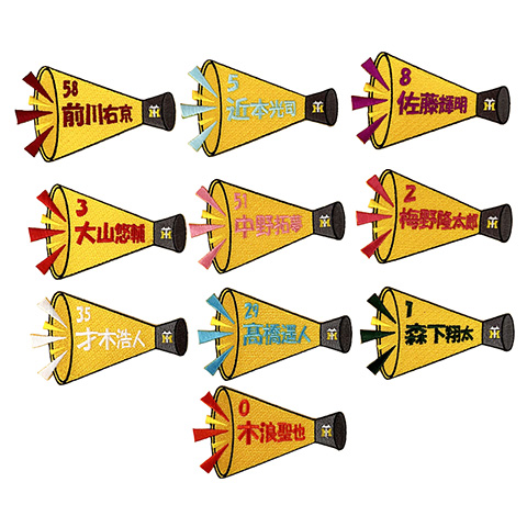 阪神タイガース マートン選手 80周年記念ワッペン ビジター サイズS 美品 阪神タイガース マートン選手 80周年記念ワッペン ビジター