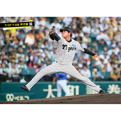HANSIN Tigers ユニフォーム TAKAHASHI 29 HANSIN Tigers ユニフォーム TAKAHASHI 29 応援グッズ