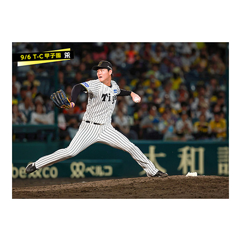 ブロマイド 9/6 T-C No.3 37及川 - 阪神タイガース公式