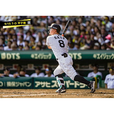 ブロマイド 9/15 T-D No.3 8佐藤（輝明） - 阪神タイガース公式