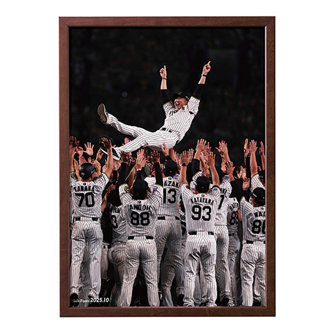 T-SHOP限定】月刊タイガース表紙写真パネル 2025年10月号☆受注生産品