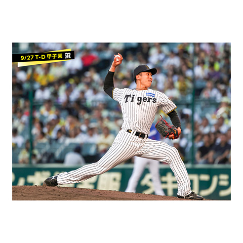 ブロマイド 9/27 T-D No.4 48茨木 - 阪神タイガース公式オンライン