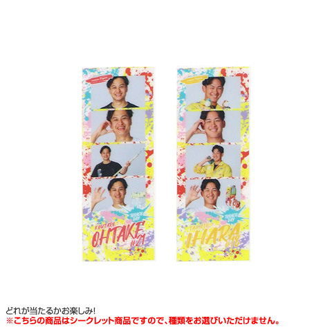 T-SHOP限定】（全22種）シークレットTORACOペイントフォトグレイ