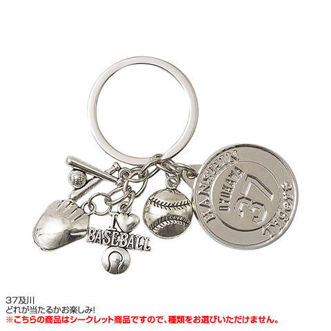 全12種）シークレットネームプレート付 ダイキャストキーホルダー