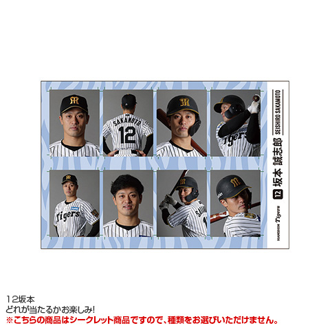 全12種）シークレット証明写真風ステッカー - 阪神タイガース公式