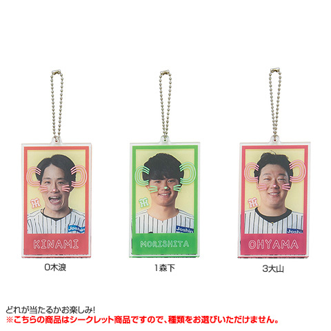 全12種）シークレット虎耳レイヤーアクリルキーホルダー - 阪神