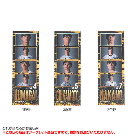 全12種）シークレットフォトグレイ - 阪神タイガース公式オンライン