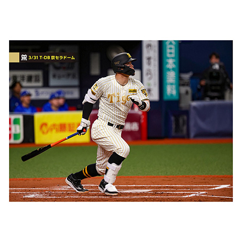 ブロマイド 3/31 T-DB No.2 8佐藤（輝明） - 阪神タイガース公式