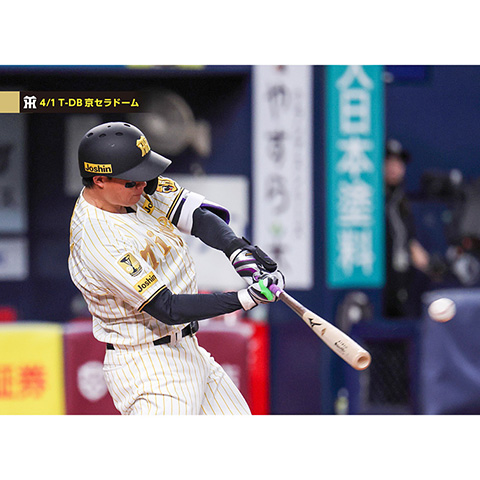 ブロマイド 4/1 T-DB No.3 1森下 - 阪神タイガース公式オンライン