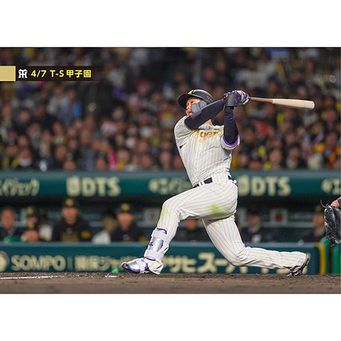 ブロマイド 4/7 T-S No.3 1森下 - 阪神タイガース公式オンライン