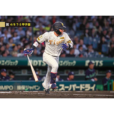 ブロマイド 4/8 T-S No.2 0木浪 - 阪神タイガース公式オンライン