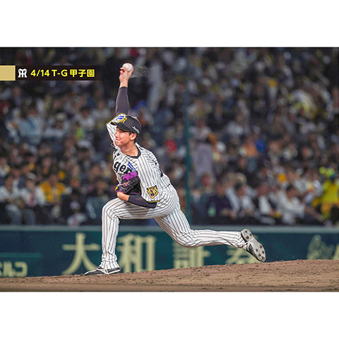 ブロマイド 4/14 T-G No.2 65湯浅 - 阪神タイガース公式オンライン