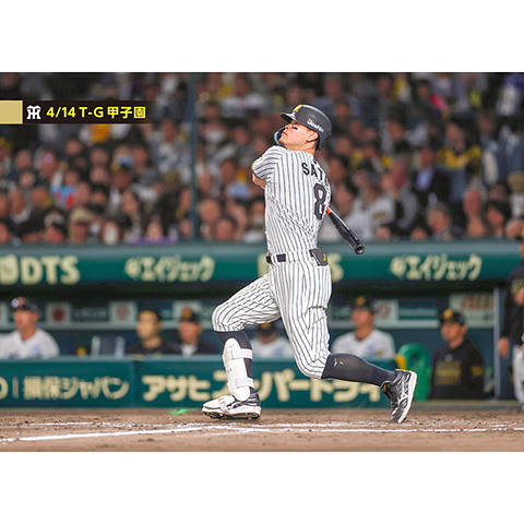 ブロマイド 4/14 T-G No.3 8佐藤（輝明） - 阪神タイガース公式